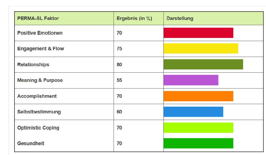 PERMA, PERMA-SL, Posirive Leadership, Positive Self-leadershp, Positive Selbstführung, Psychische Gesundheit im Home-Office