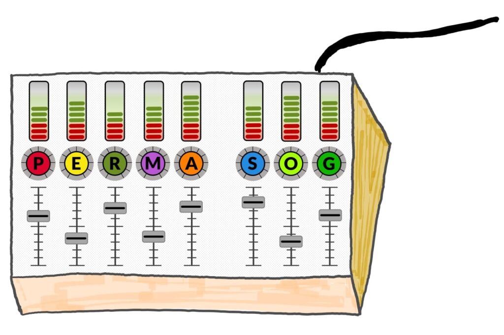 Positive Self-Leadership mit dem PERMA-SL-Dashboard