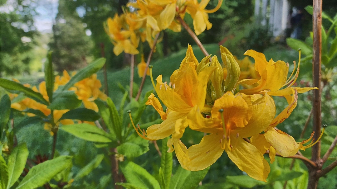 effektive meetings,30 sekunden regel meetings,Positively Energizing Leadership, kim Cameroon,teamklima, effizente meetings